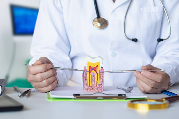 Emergency Dentist Open Today in VA